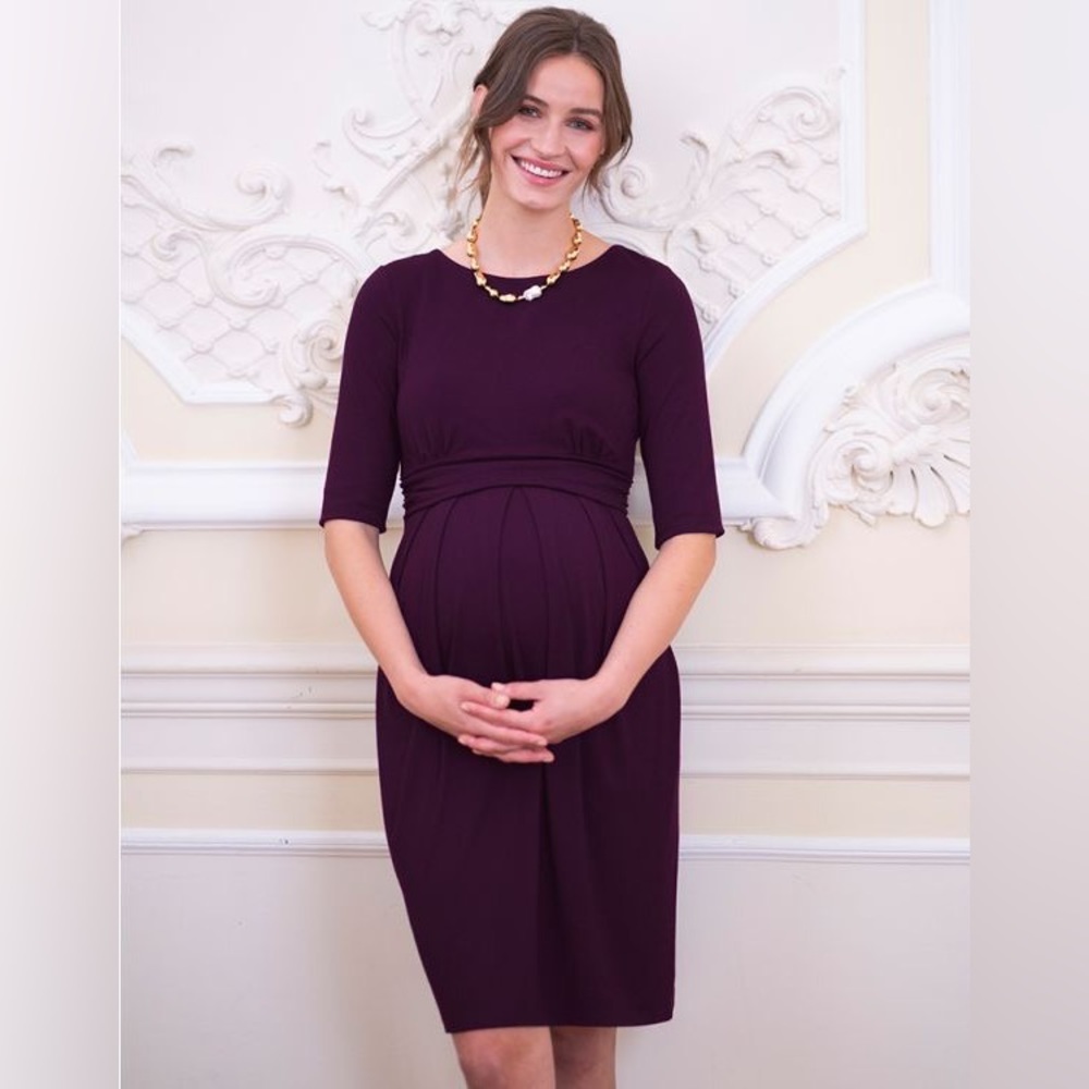 Seraphine Nursing/Maternity Dress - 8